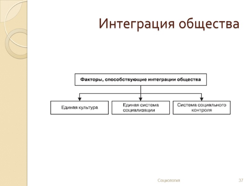 Интеграция общества 37 Социология